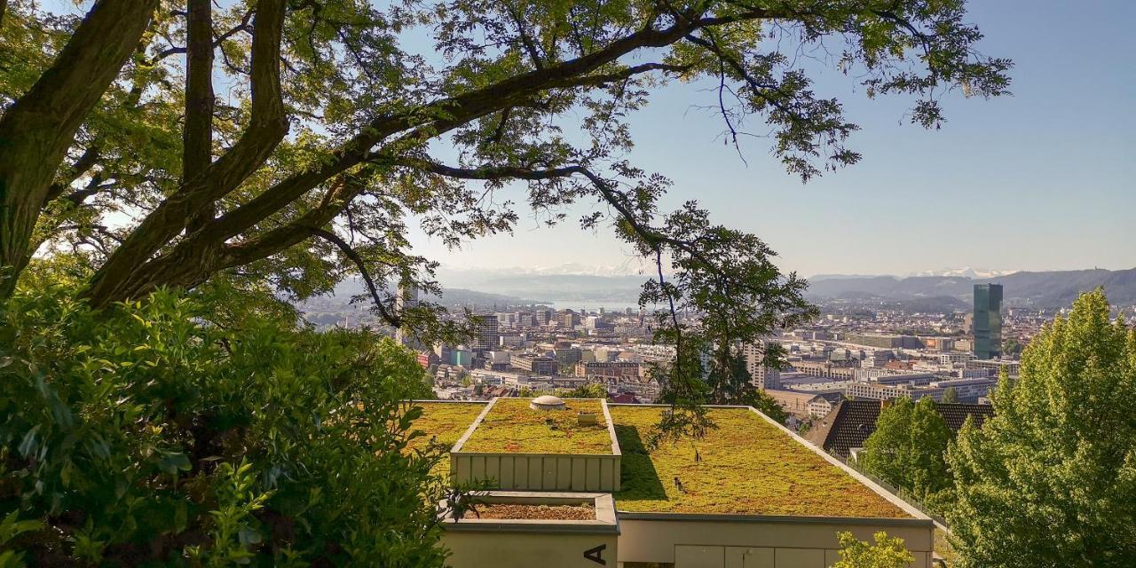 Helvetia 2 Zimmer Apartment Mit Parkplatz Zurich Bagian luar foto